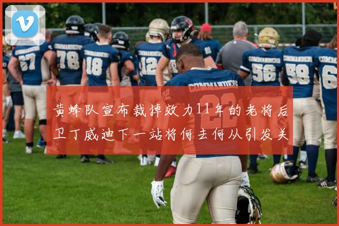 黄蜂队宣布裁掉效力11年的老将后卫丁威迪下一站将何去何从引发关注