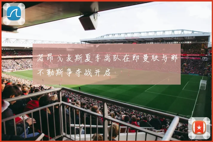 若昂戈麦斯夏季离队在即曼联与那不勒斯争夺战开启