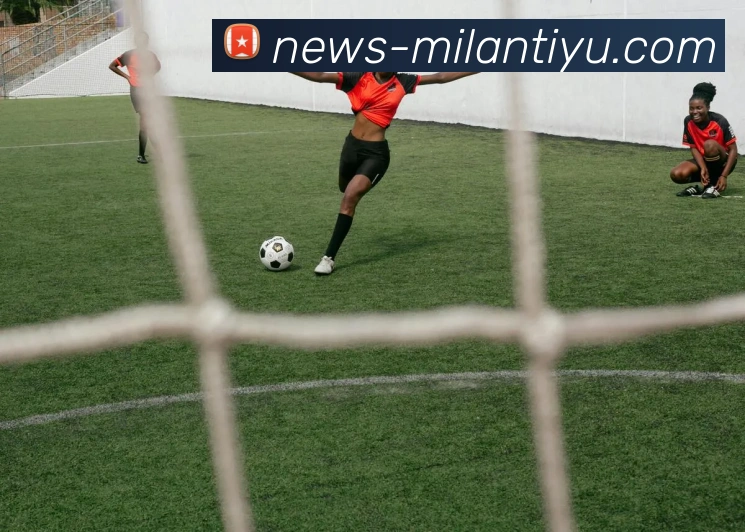 米兰体育平台生态图